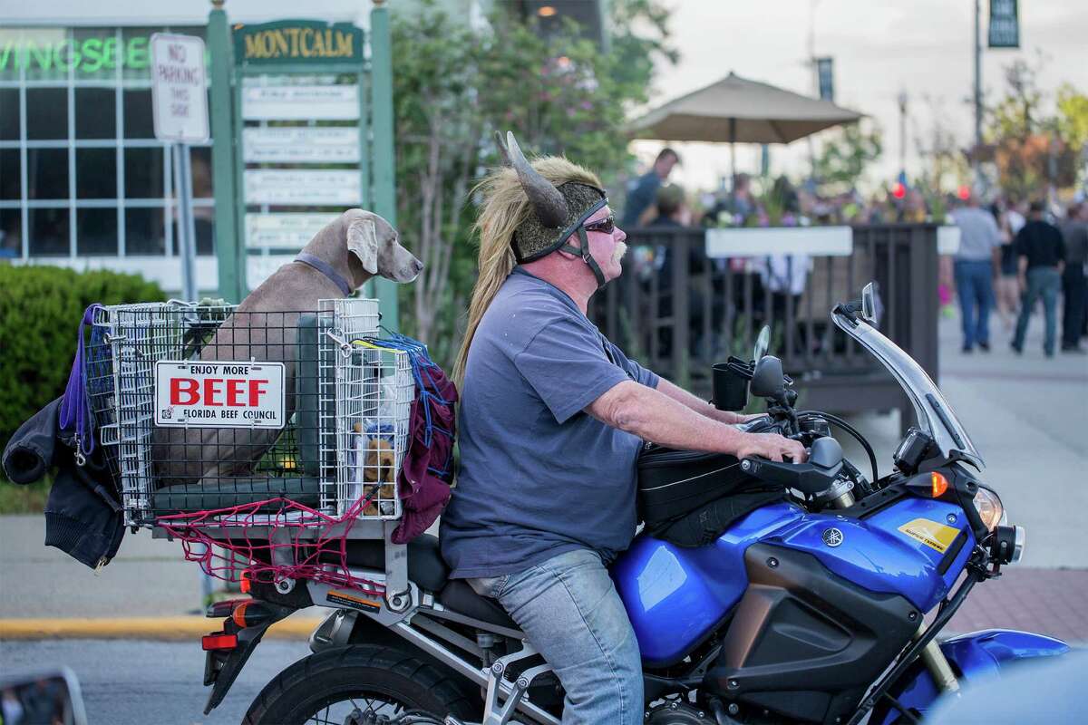 Phil Berg rides with his dog, Beef, along Canada Street during the Americade motorcycle rally in Lake George, N.Y. on Friday, June 6, 2014.