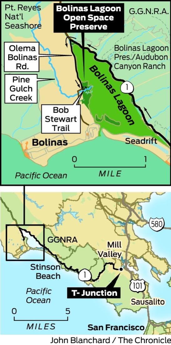 Bolinas Lagoon offers outstanding birdwatching opportunities