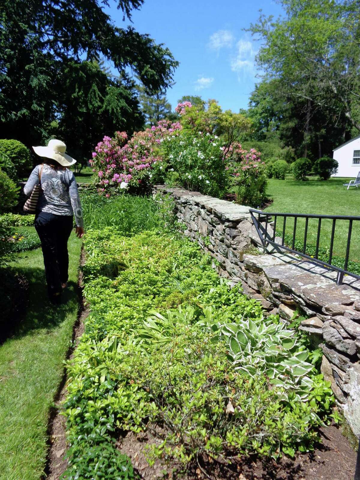 Hidden no more Glorious Fairfield gardens showcased on sunny Sunday tour