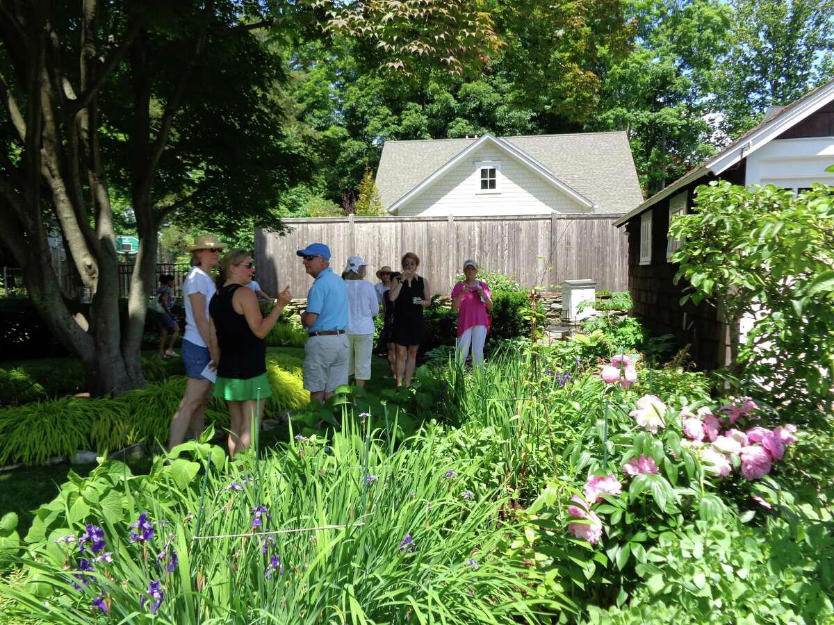Hidden no more Glorious Fairfield gardens showcased on sunny Sunday tour