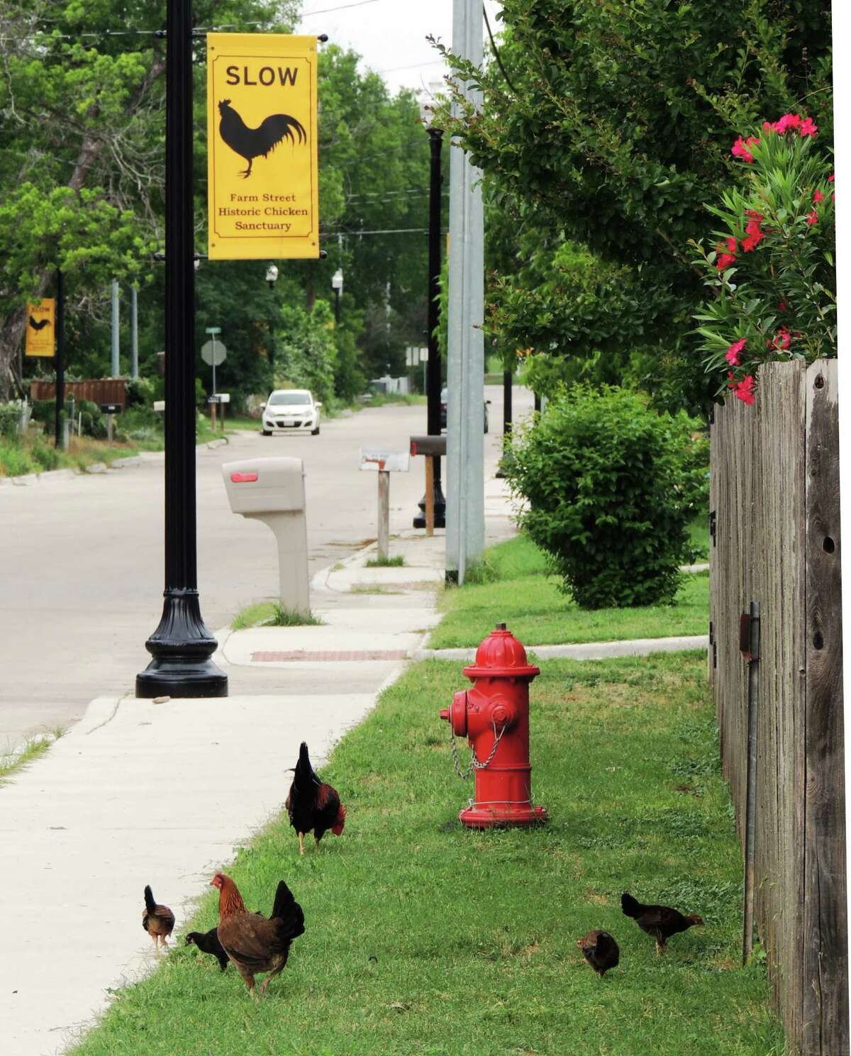 Revisiting Bastrop after the fire