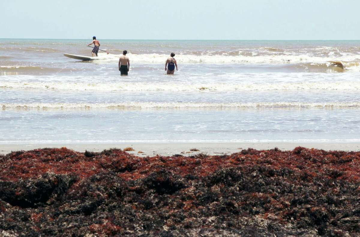 Tourists grumble as beach seaweed cleanup continues