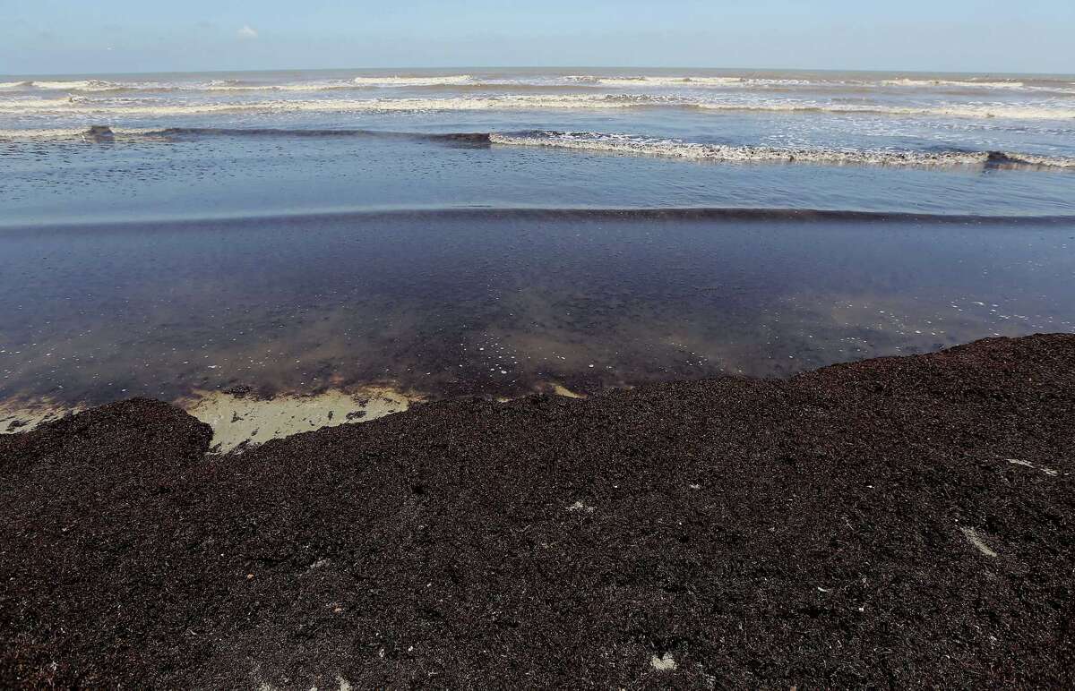 Seaweed looms over Galveston holiday weekend