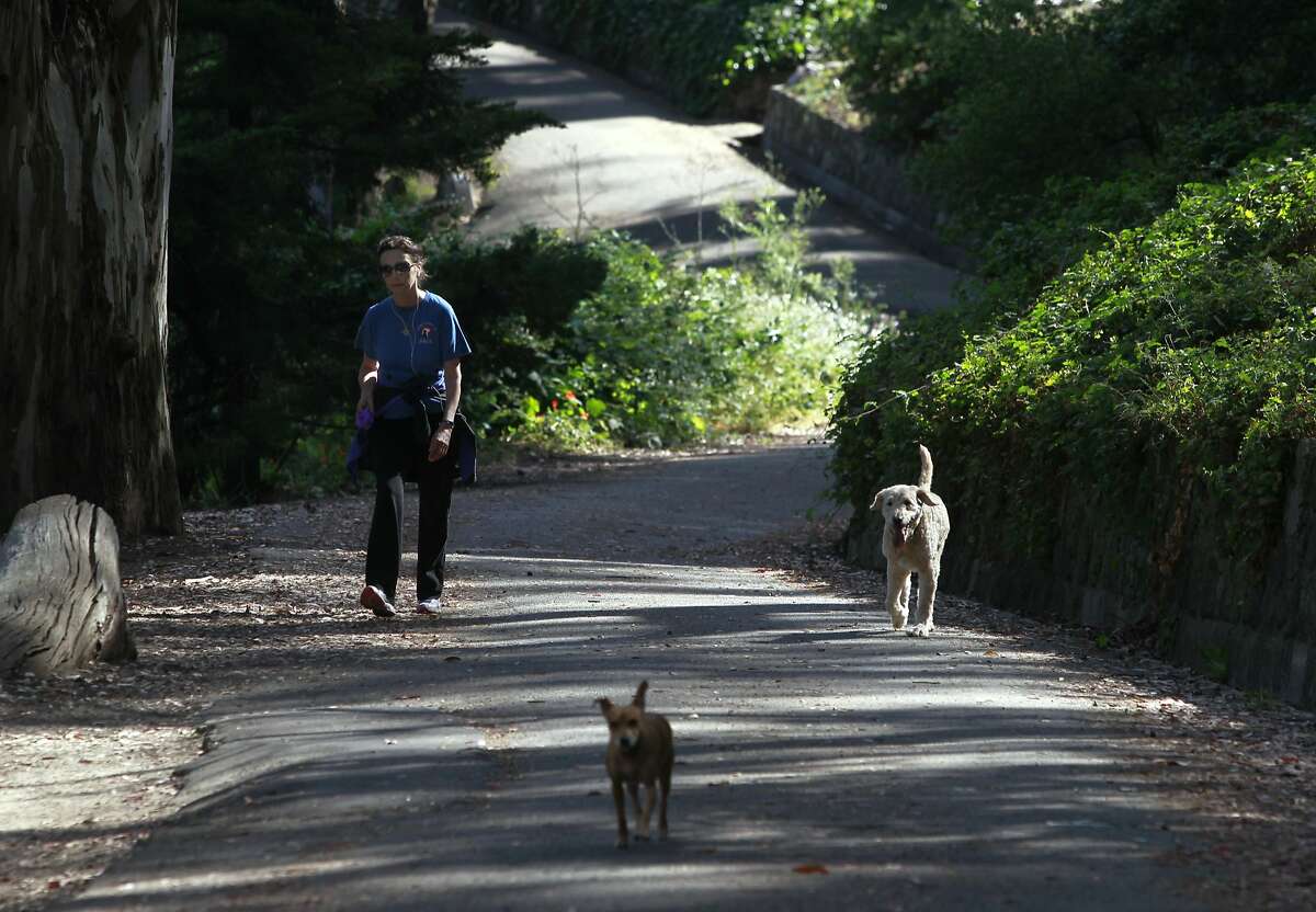 The Haight's Buena Vista Park needs some love