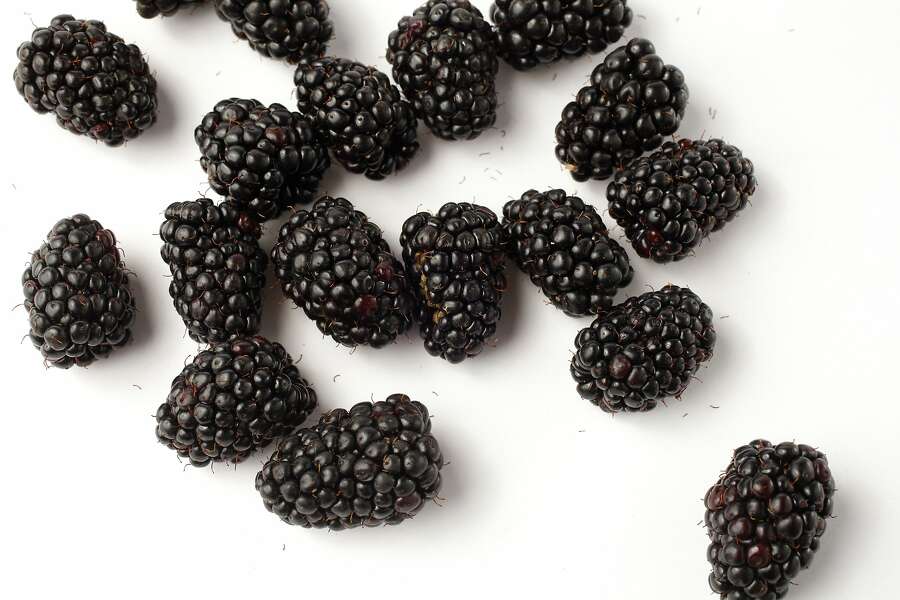 Why Olallieberry is king of the blackberries