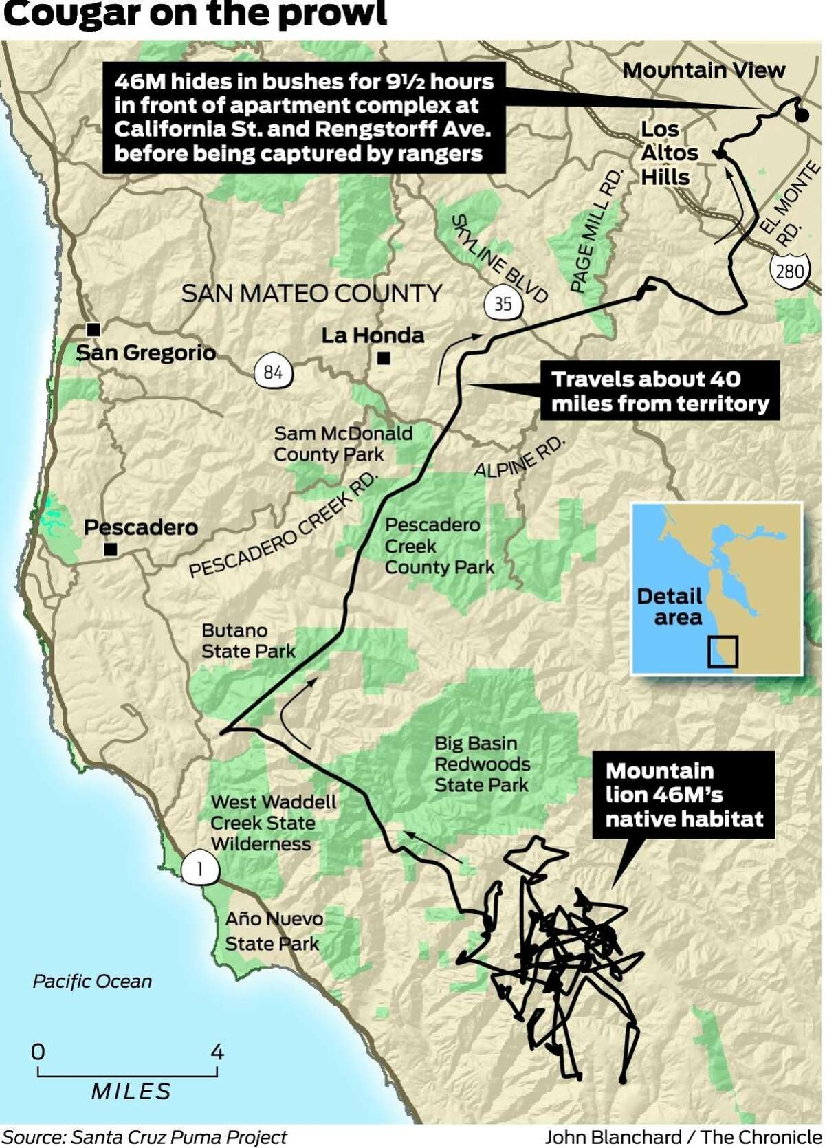 Cougar stalked residents for 9 hours