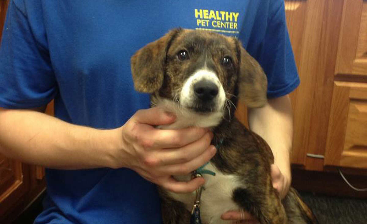 Best of the Capital Region Goods & Services