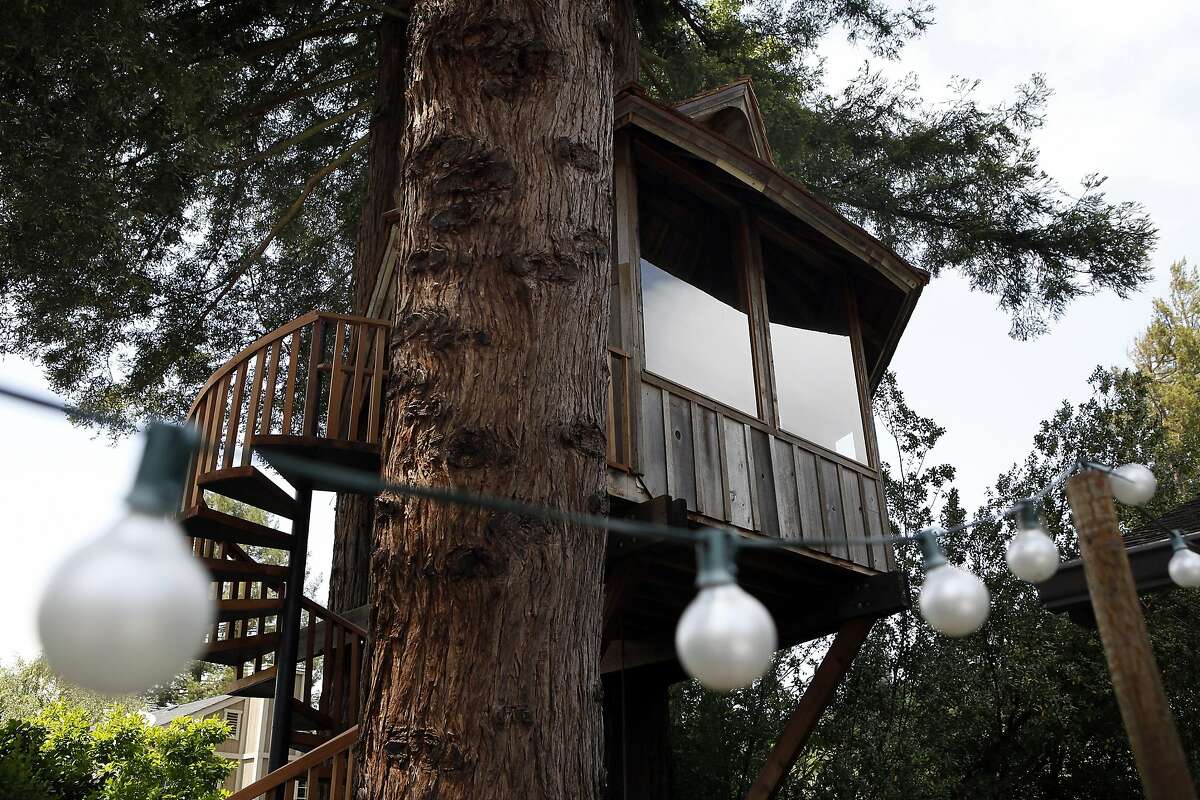 A treehouse built on commission by artist Jay Nelson for Daria Joseph is seen nestled between a stand of trees in her backyard in Marin County.