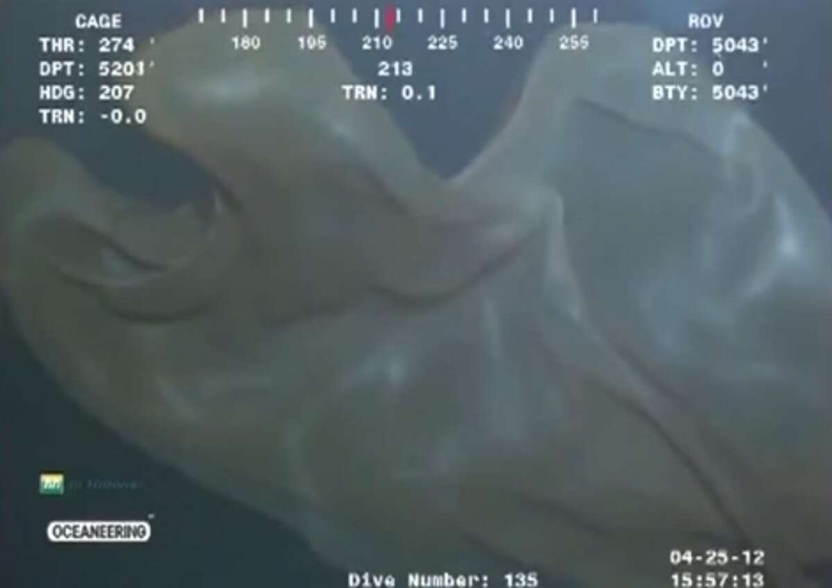 After 2 years, scientists confirm mysterious Gulf of Mexico blob is ...