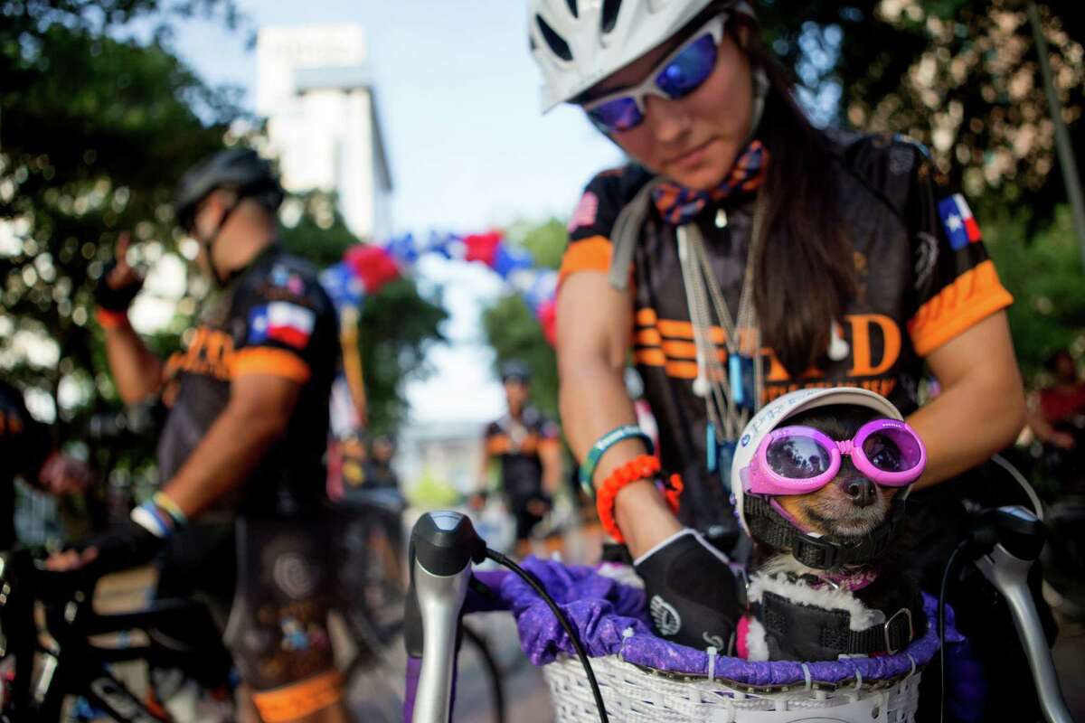 Houston Police Department patrol officer, Ana Gomez and her dog, Precious, prepare for the Houston Police Department Officers begin their Pedal for a Cure starting from Discovery Green, Tuesday, June 17, 2014, in Houston. A total of 34 officers, leukemia survivors and family members of survivors, will begin their seven-day trek to Tacoma, Washington. Each officer will wear a special "dog tag" bearing the name of the patient or survivor who inspired them to ride in this year's 2,900 mile relay.