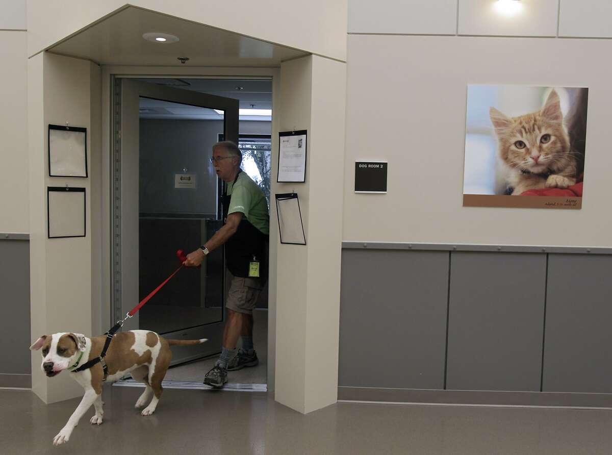 Oakland council approves animal shelter overhaul