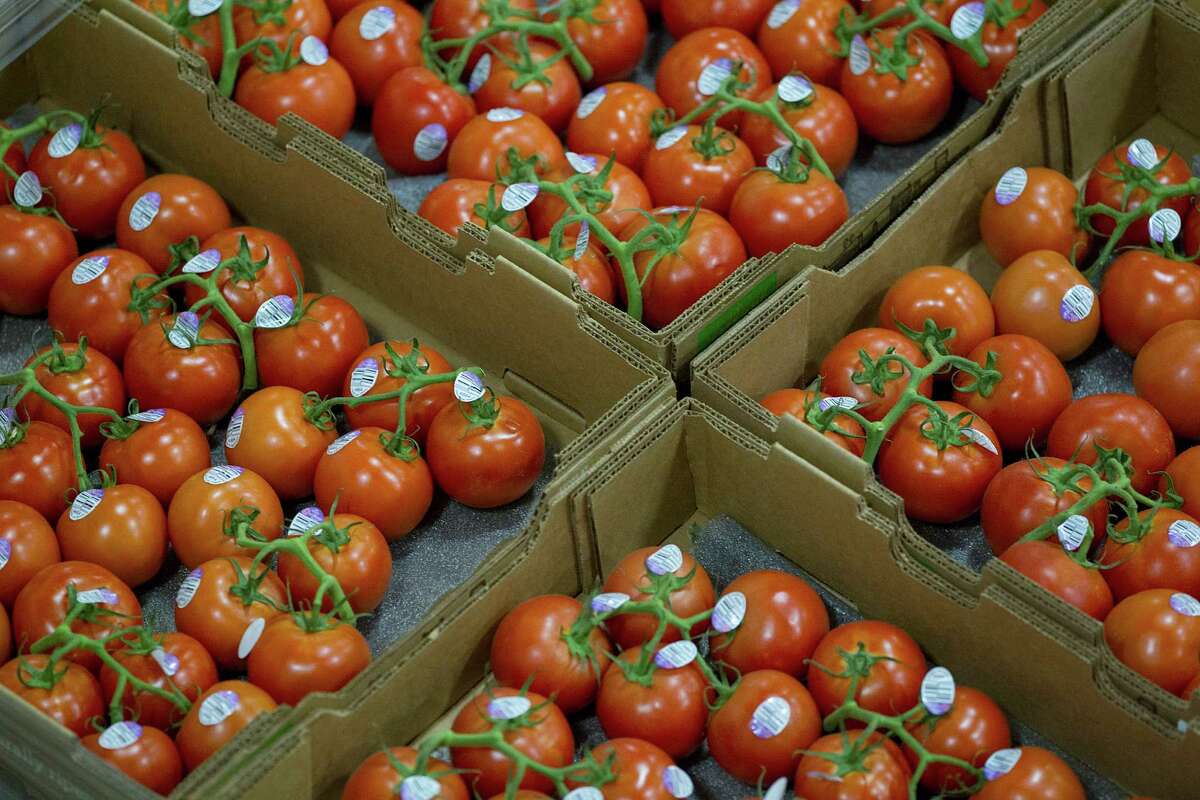 Tomatoes at Grocers Supply Company in its near-west warehouse and distribution facility. Grocers Supply struck a deal with C&S Wholesale Grocers to sell its wholesale distribution business. ( Johnny Hanson / Houston Chronicle )
