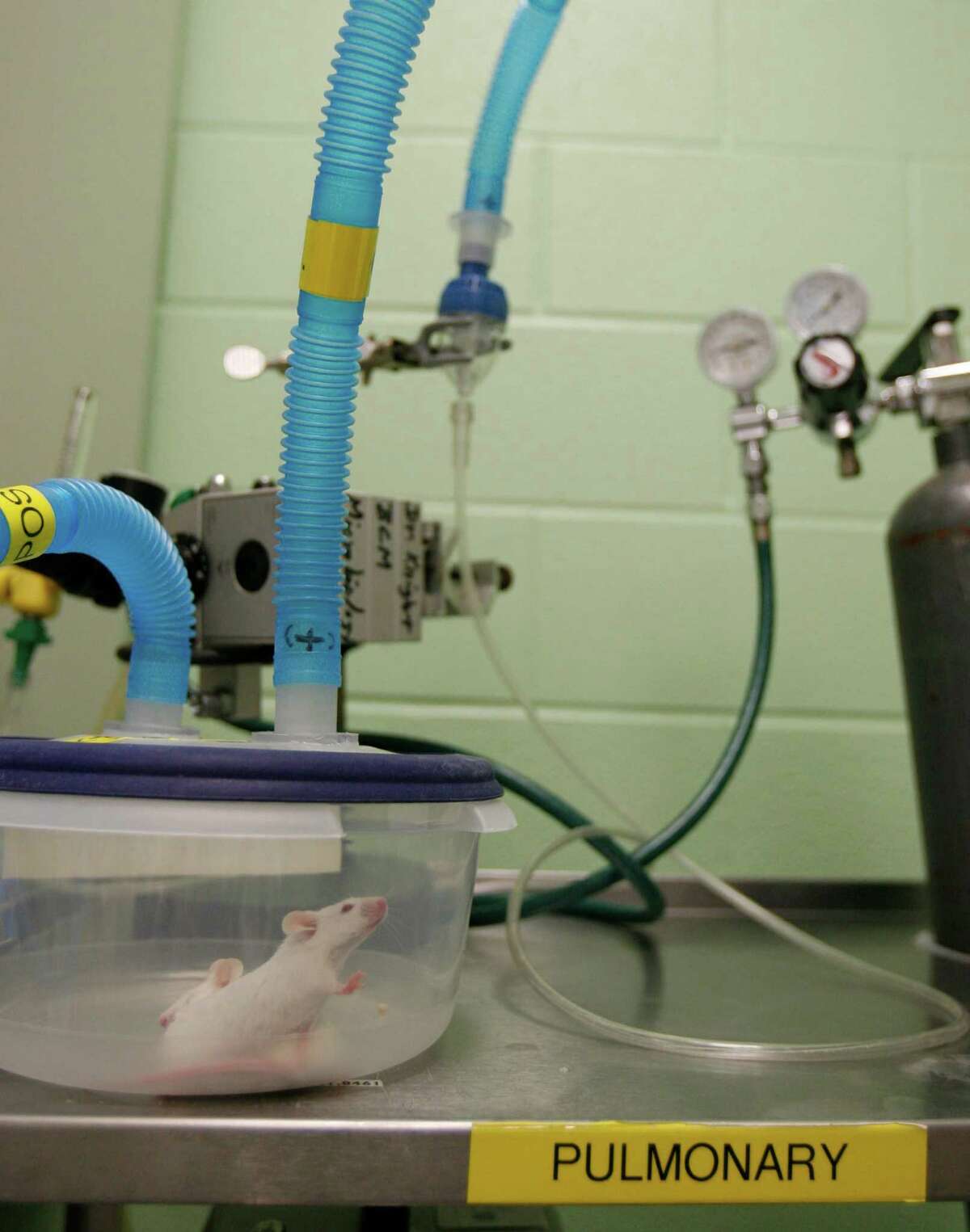 Houston offers a fertile setting that feeds biotechnology