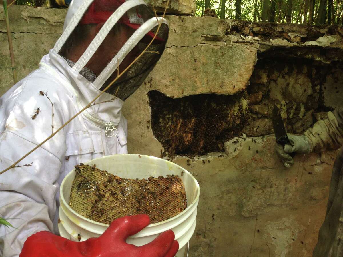 Show Buckets In Hive at Jesse Simmons blog