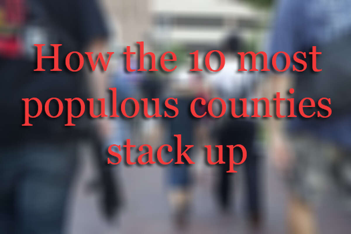 Museum, library and gun retailer counts for the 10 most populous counties.