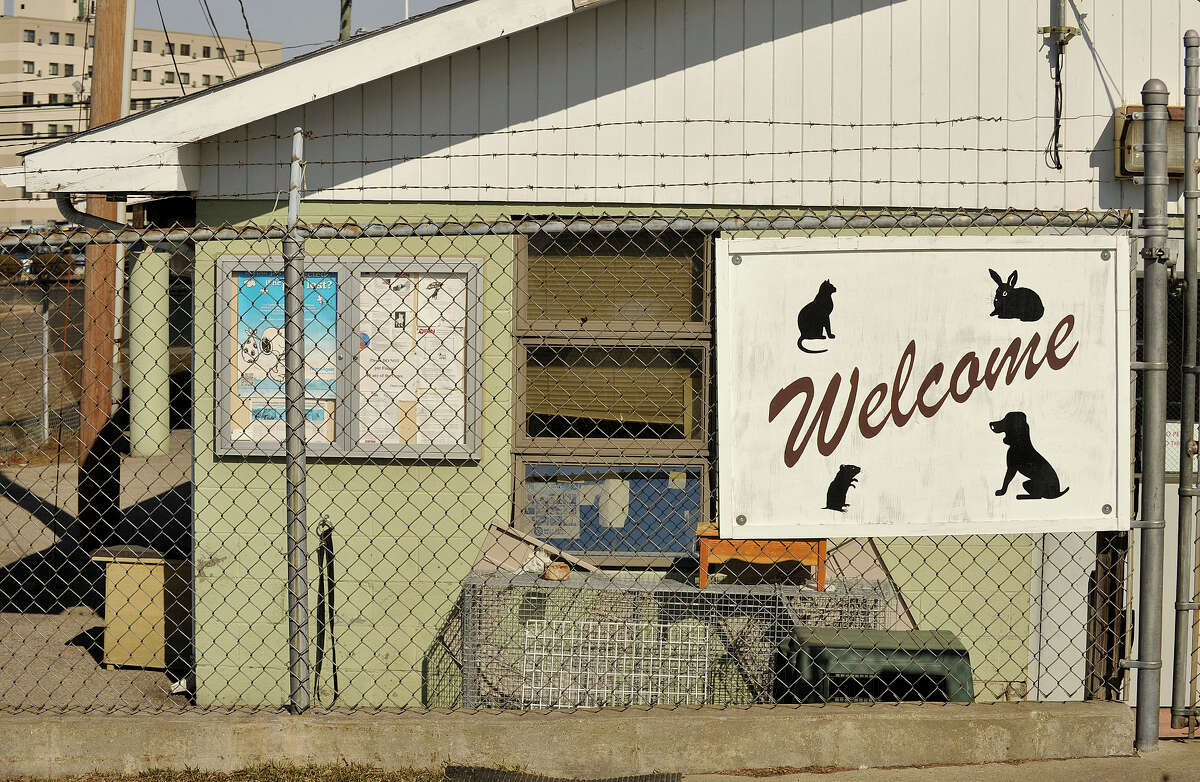 A welcome sign hangs at the entrance to the animal care and control shelter in Stamford, Conn., on Monday, March 17, 2014.
