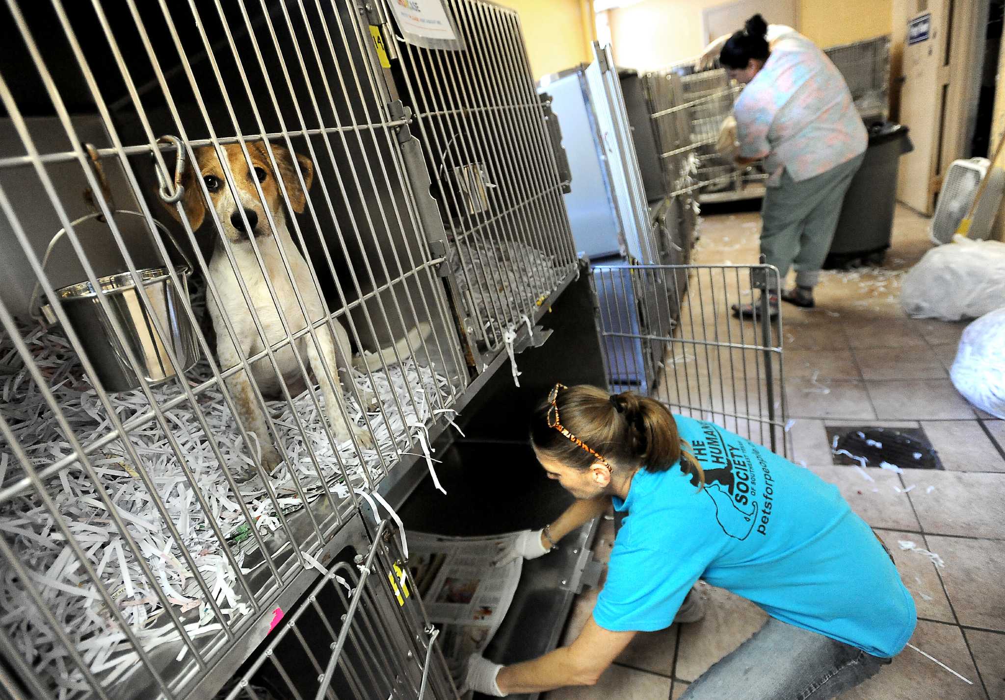 Beaumont s Humane Society planning move to Major