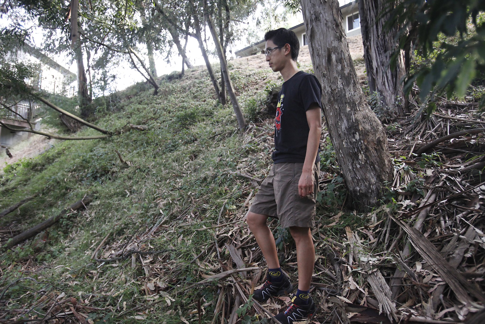 Overgrown lots in Oakland hills are major fire hazard