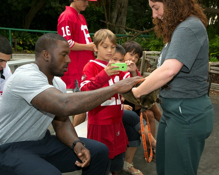 Report: 49ers lose Patrick Willis for remainder of season - The Globe and  Mail