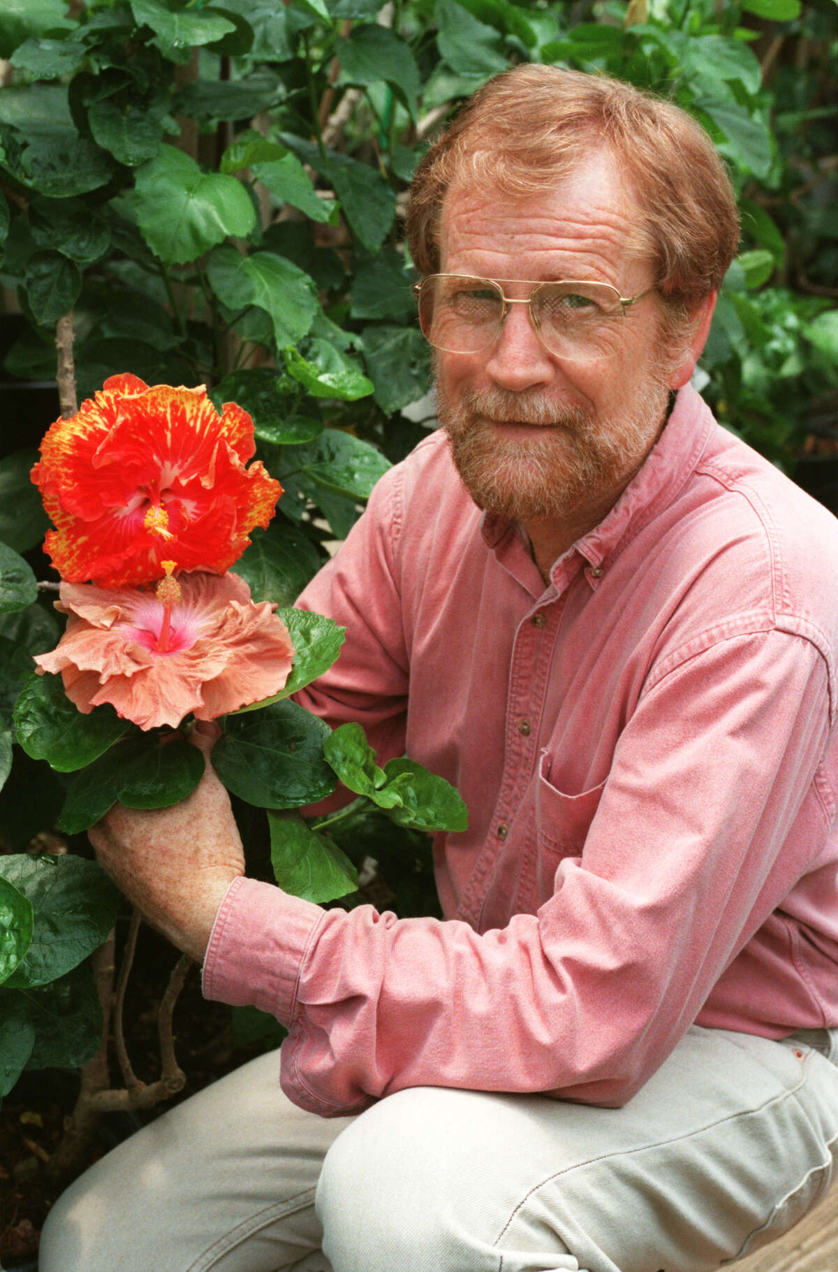 Hibiscus huybridizer Barry Schlueter was an avid gardener who also loved daylilies and roses. Chronicle file photo