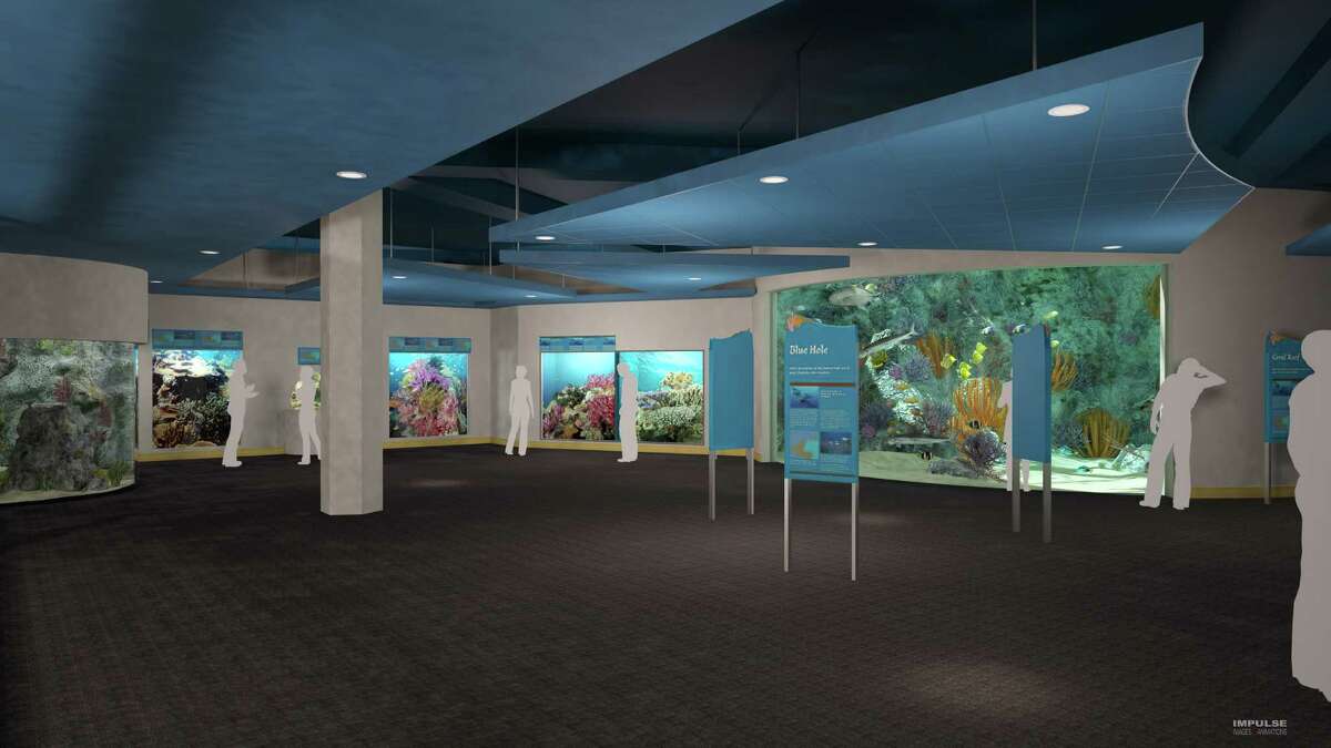 This illustration shows the upgrades planned for the Texas State Aquarium during a $50 million expansion set to be completed by early 2017.