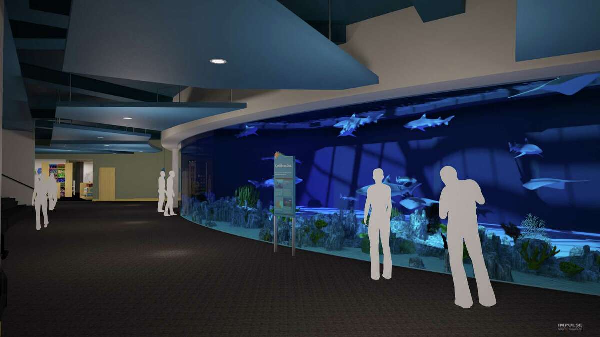 Texas State Aquarium to get 50 million makeover