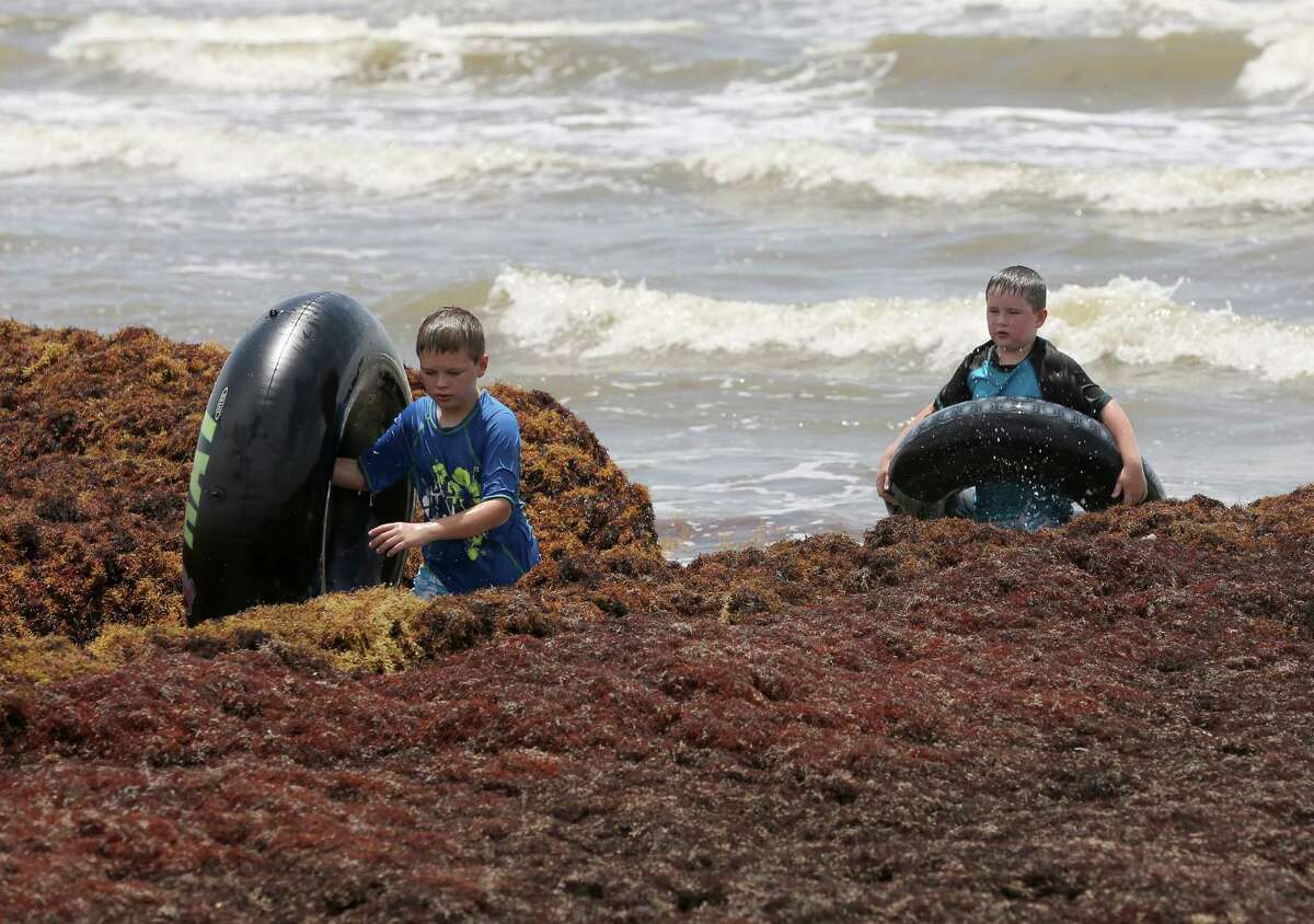 Left to right: Asher Ridge, 10, and his brother Fynnlan Ridge, 8, trudge carefully through seaweed as they make their way up the Galveston beach Tuesday.