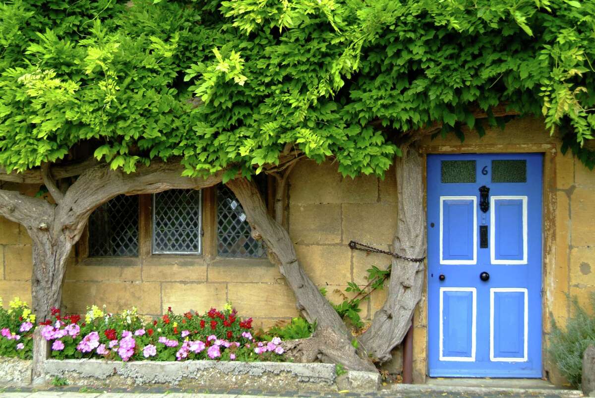 Wysteria surrounding the doorway and window of a pretty limestone cottage in the Cotswold village of Broadway, Broadway, Worcestershire, England. Wysteria surrounding the doorway and window of a pretty limestone cottage in the Cotswold village of Broadway