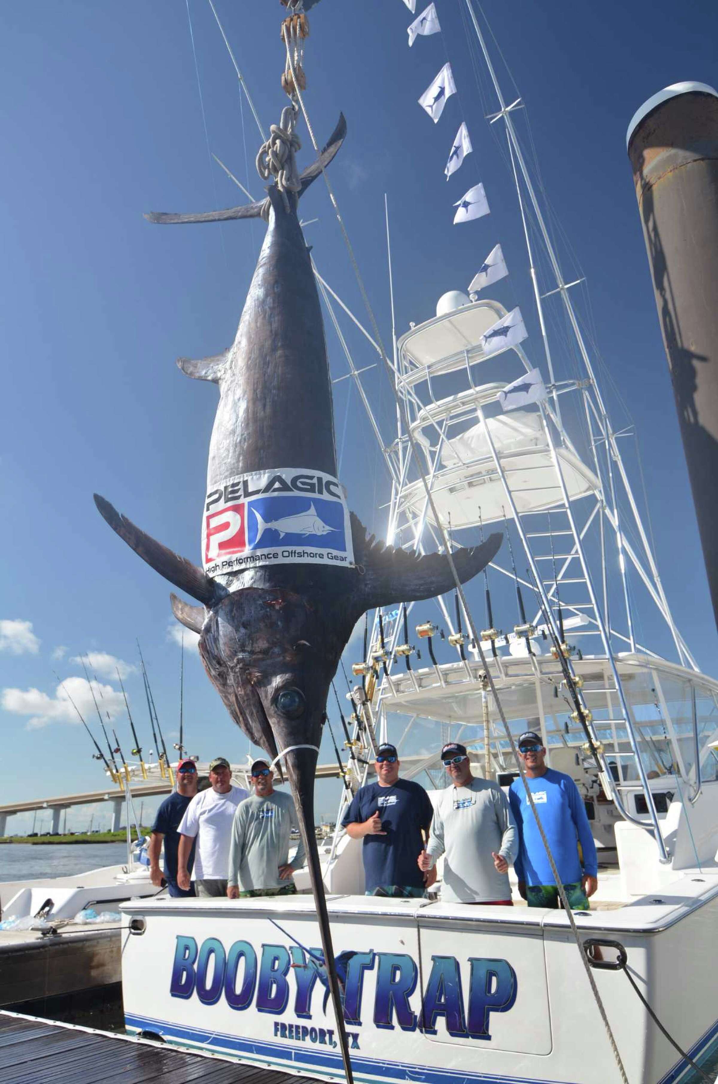 Massive blue marlin breaks Texas record by nearly 100 pounds