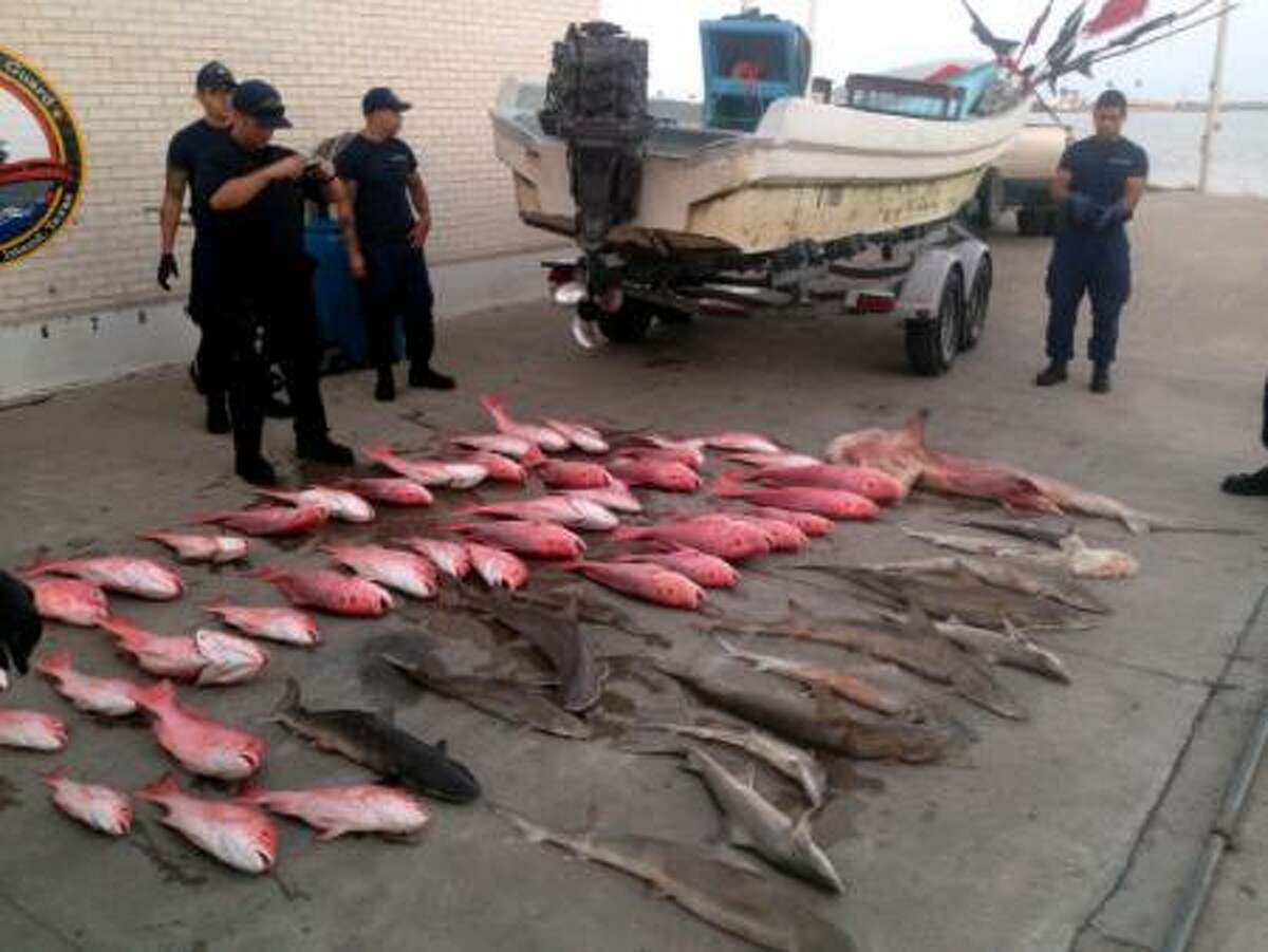 Illegal fishing on the rise in Gulf of Mexico