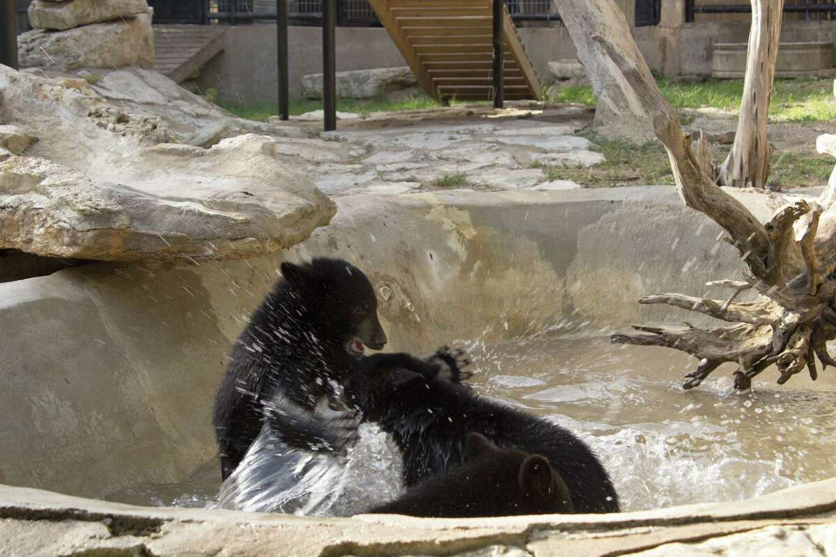 Burglars ransack Austin Zoo, create $30,000 loss