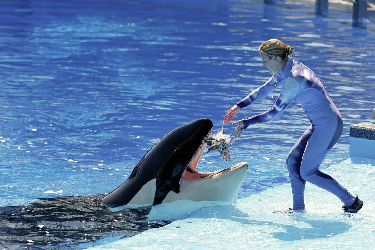 Survival rates at parks on rise