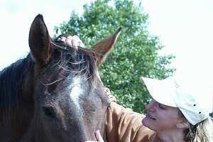 Ex-racehorse provides comfort, even years after death