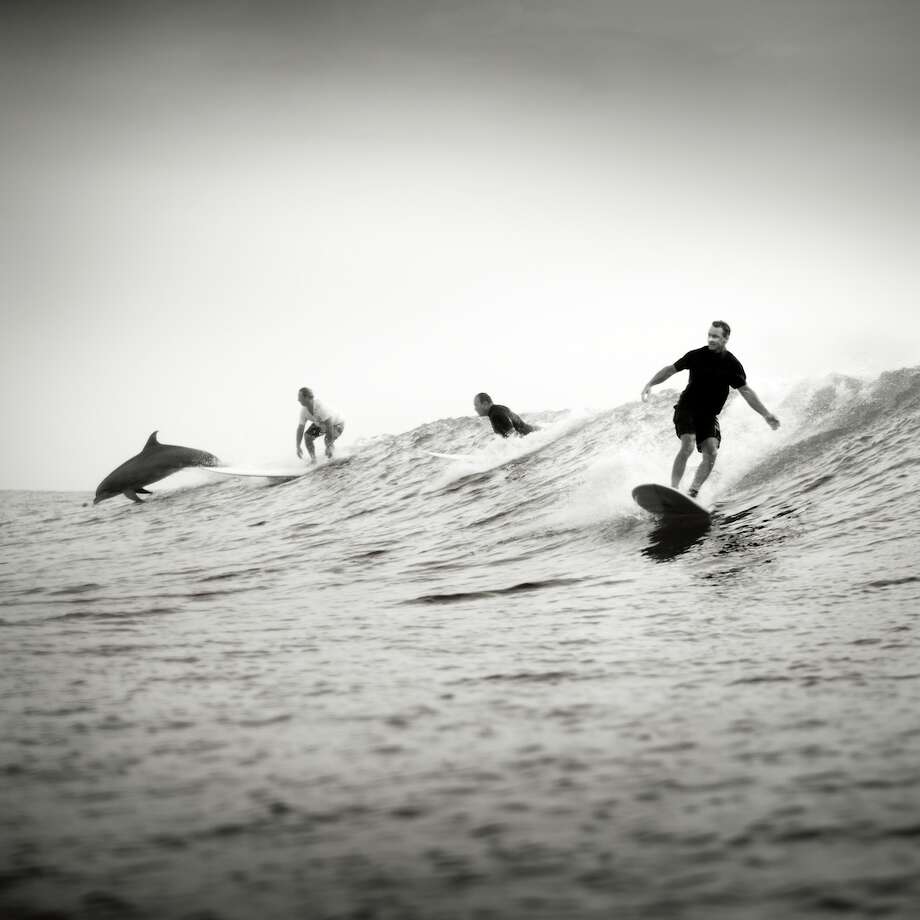 Photographer captures the majestic Texas surf scene in new book San