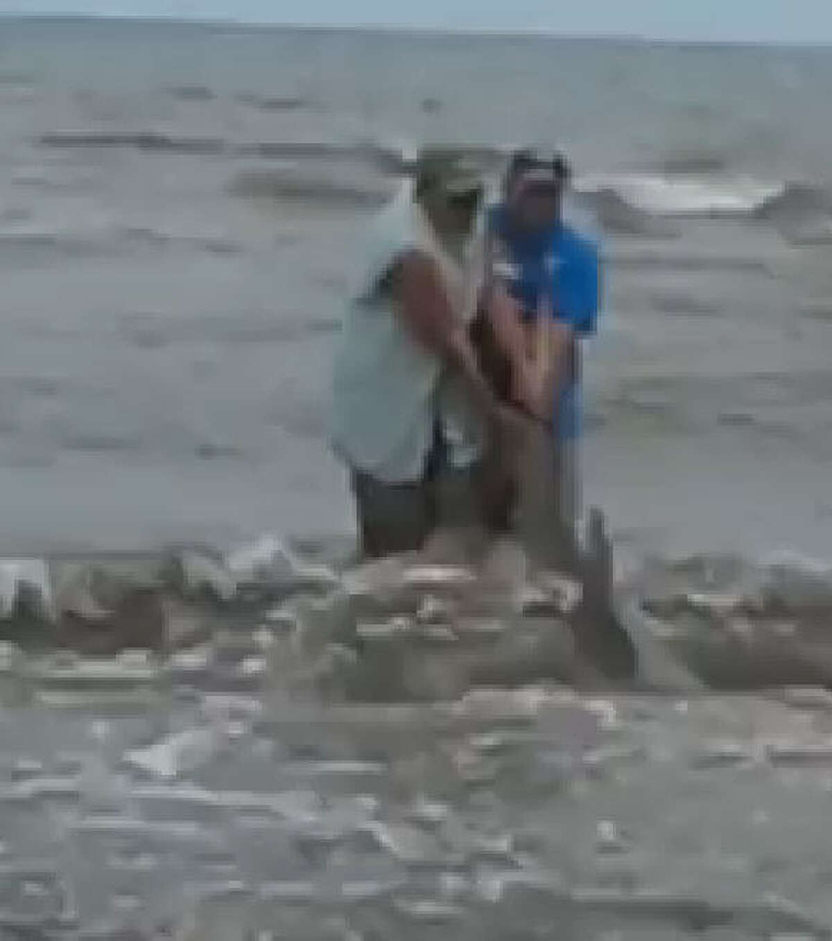 Shark hauled up on Galveston beach