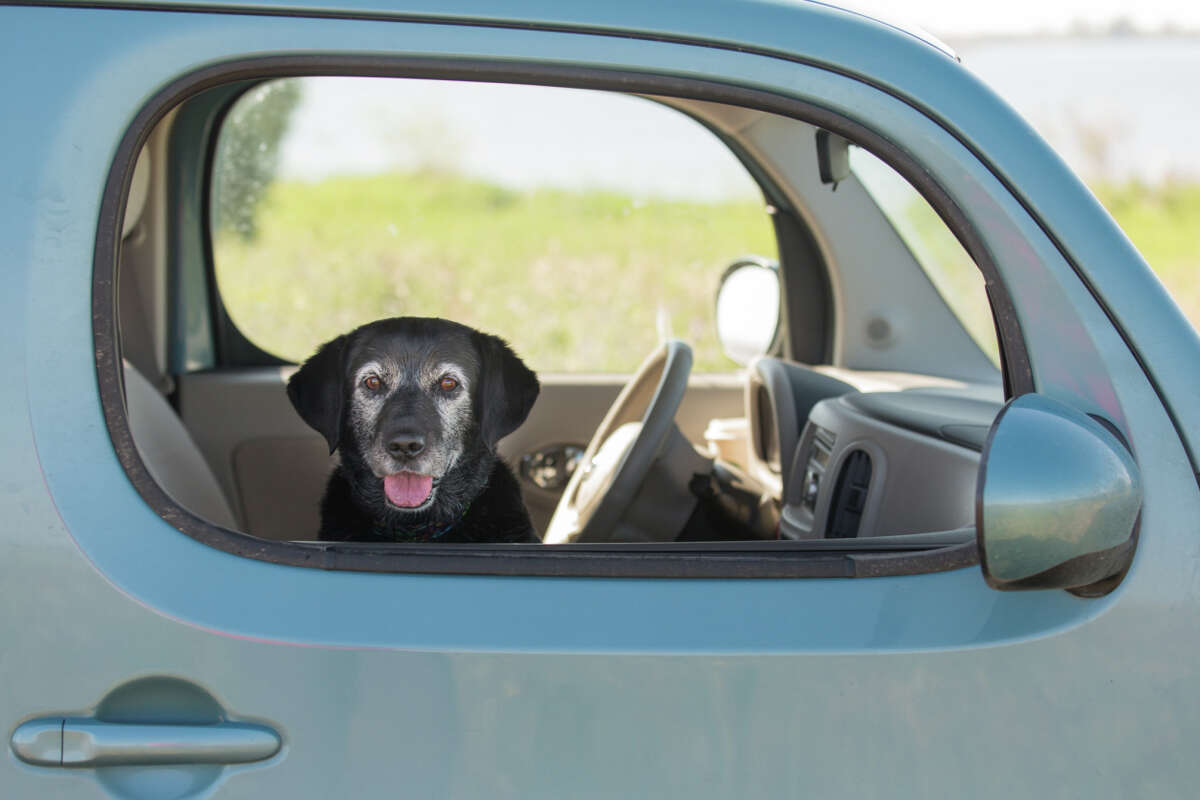 California - Is it legal or not?