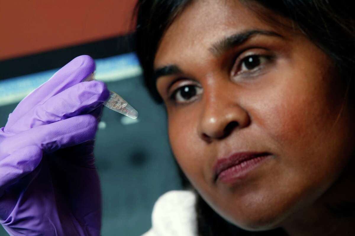 FILE - In this undated file image provided by Johns Hopkins Medicine in 2005 Dr. Deborah Persaud, a pediatric HIV expert at Johns Hopkins' Children's Center in Baltimore, holds a vial. On Thursday, July 10, 2014, doctors and officials at the National Institutes of Health said new tests last week showed that a Mississippi girl born with the AIDS virus is no longer in remission. The girl is now back on treatment and is responding well, doctors said. (AP Photo/Johns Hopkins Medicine, File)