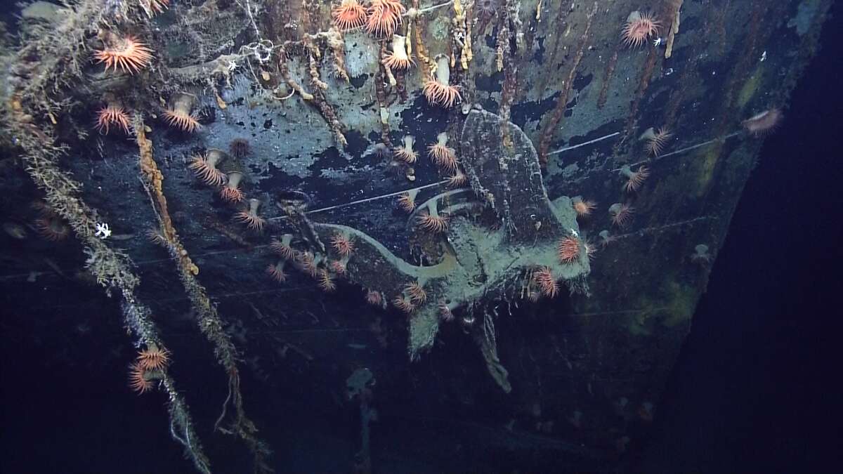 Gulf camera reveals site of WWII sinking of SS Robert E. Lee, German U-boat