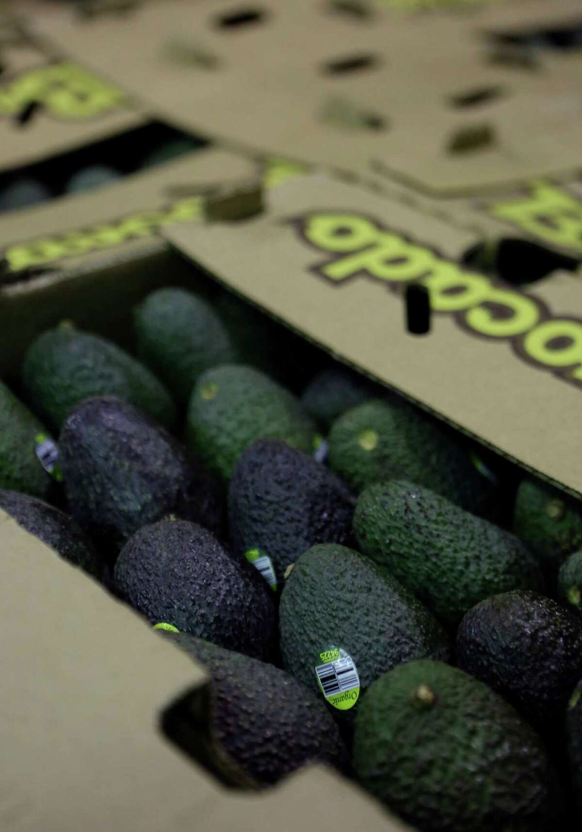 Last year in the United States more than 3.3 billion avocados were consumed. That works out to about 10 per person.