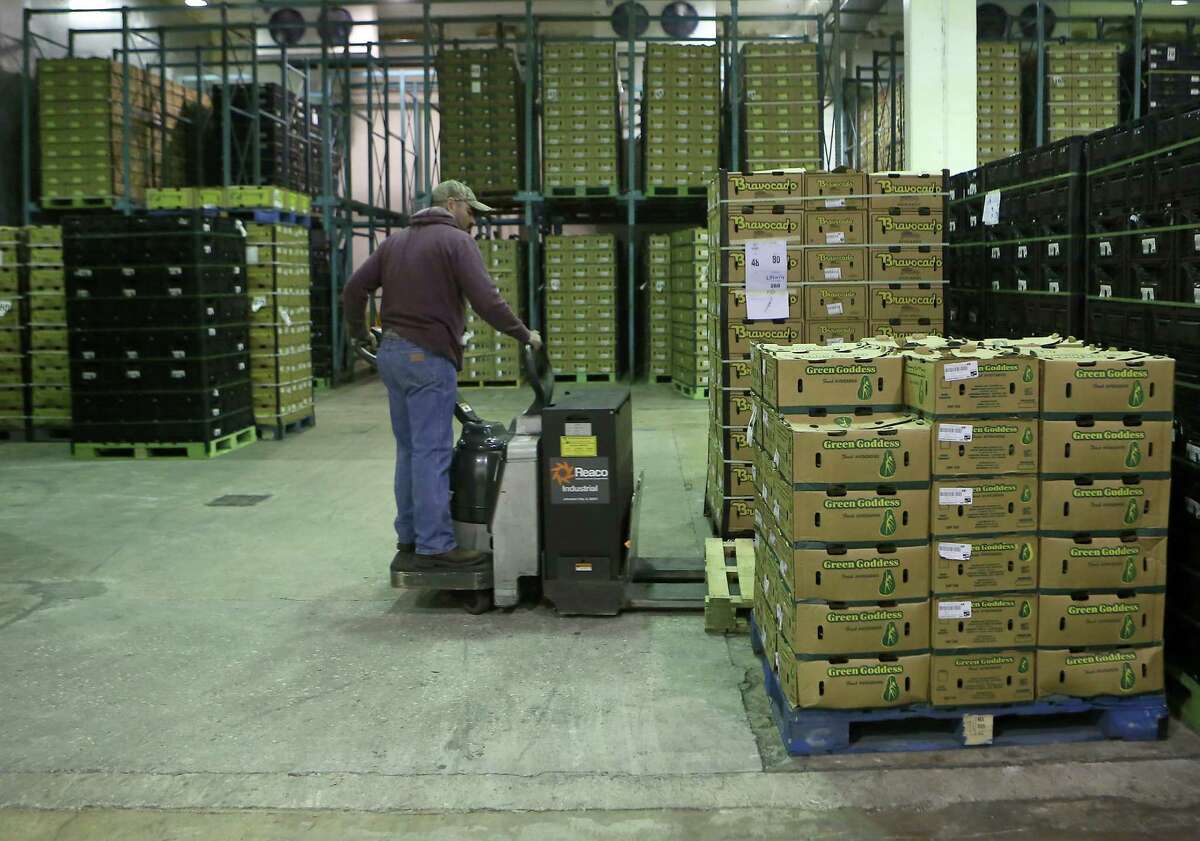 Omar Rodriguez moves boxes of avocados at Henry Avocado Corp. The California-based company uses its San Antonio facility as a hub from which it ships throughout Texas and nearby states including Colorado.