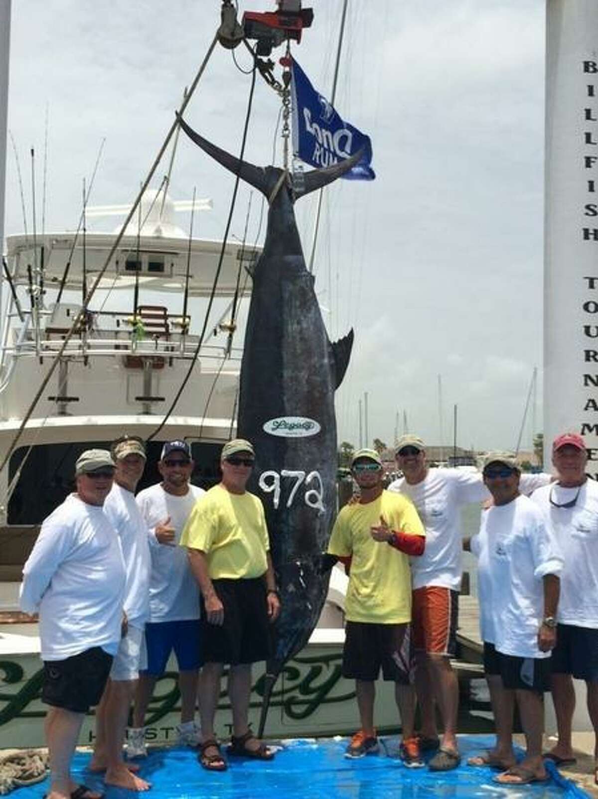 Legacy Fishing Team reeled in a record-setting blue marlin on July 11, 2014. The fish weighs 972.7 pounds and measures 137.5 inches.