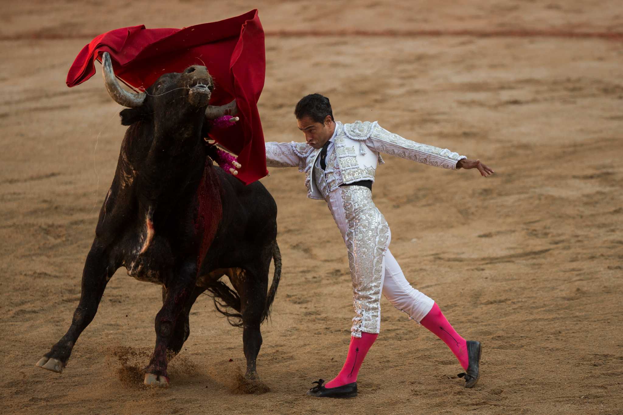 bull-wins-at-bullfighting