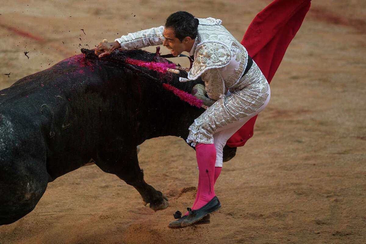 Bull Wins At Bullfighting