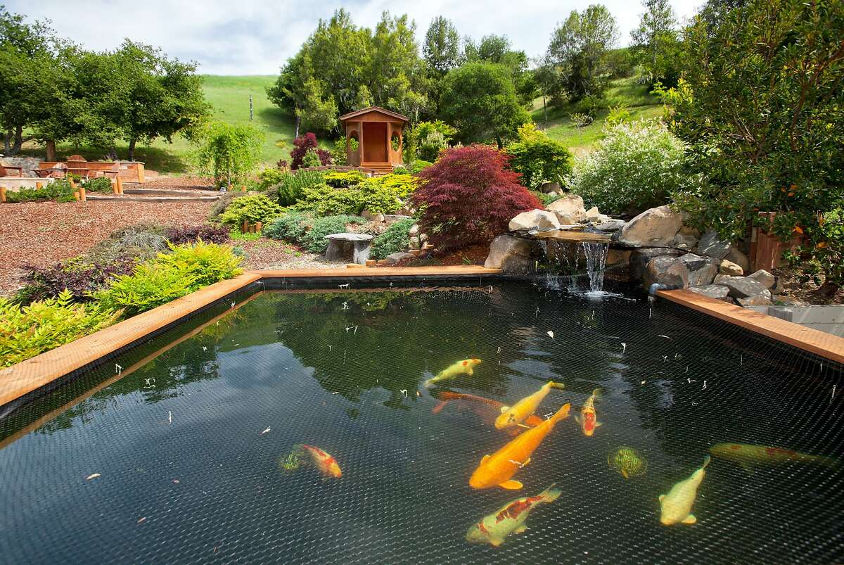Nicasio estate with luxury home, ponds, aviary