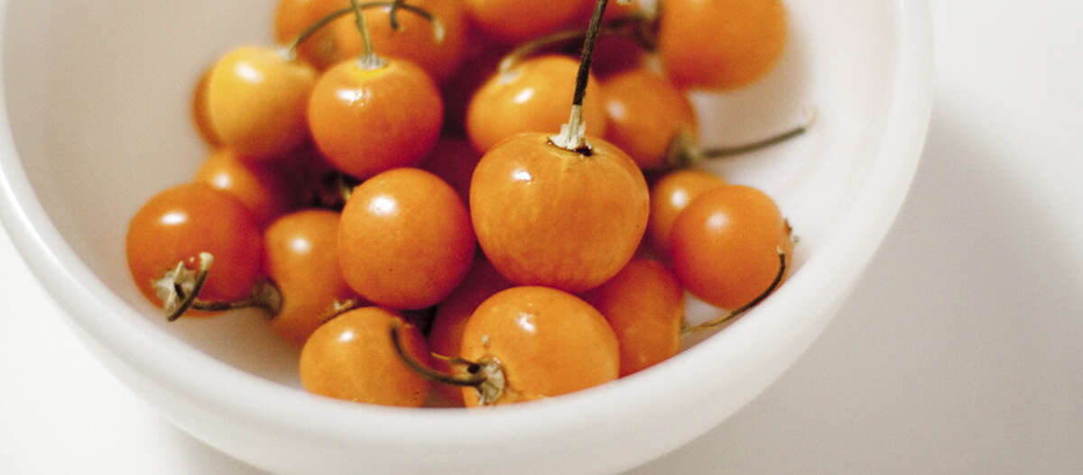 You might turn up your nose at Cape gooseberries, but your mouth may water over pichuberries.