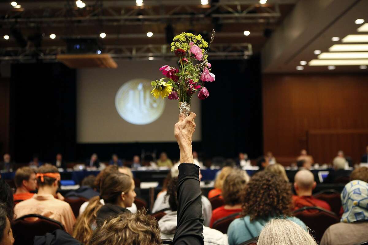 A protestor holds up flowers as UC Regents vote to approve Avi Oved as this years student regent designate during a meeting at the UCSFÐMission Bay Community Center in San Francisco, CA, Wednesday, July 16, 2014.