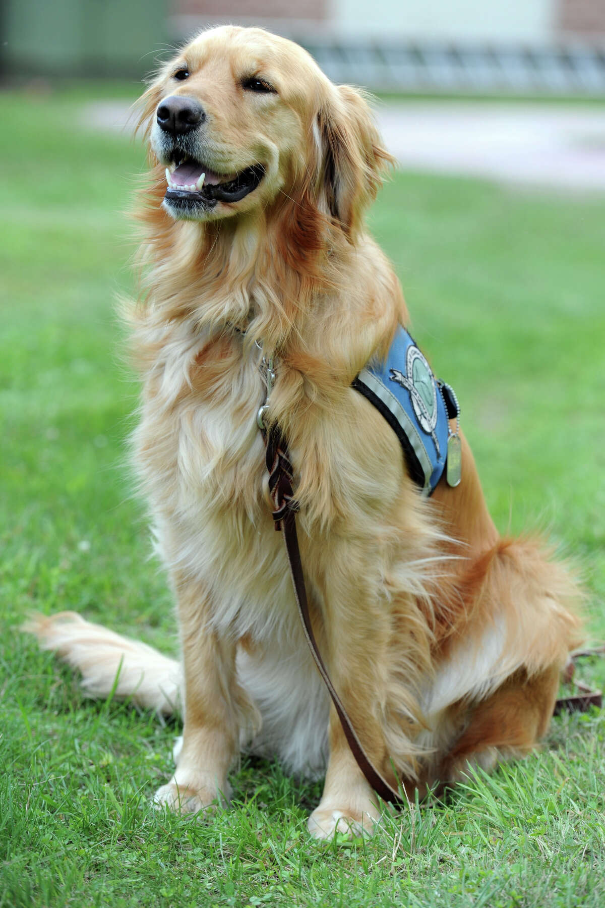 Bethel man wins Emmy for video on Newtown comfort dog