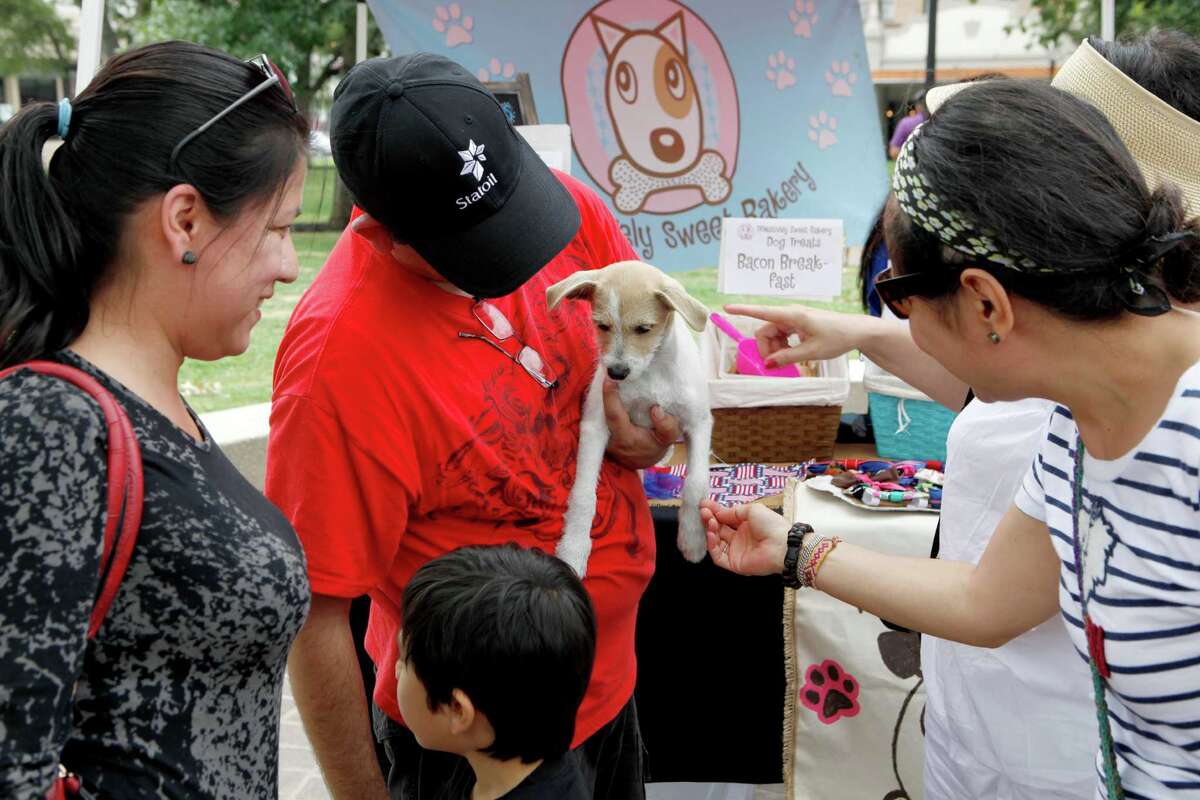 Downtown pet market helps nokill cause