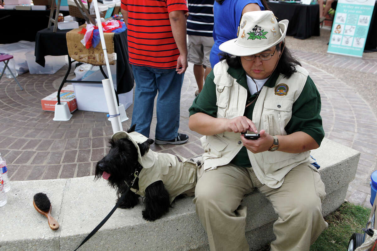 Downtown pet market helps nokill cause