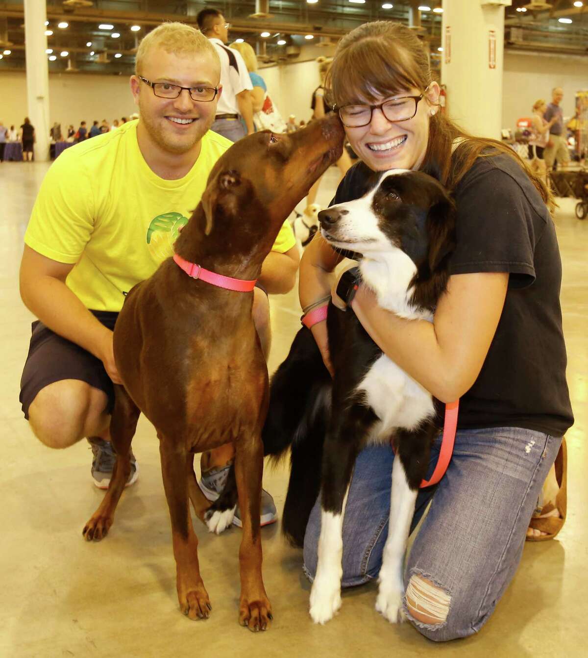 Pet owners bring their fourfooted friends to the Houston dog show